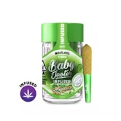 MOJILATO INFUSED BABY JEETER (5PK) - JEETER