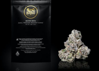 MAVEN GENETICS - SOUR SANGRIA 14G - MAVEN GENETICS