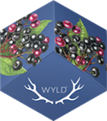 WYLD - Elderberry 2:1 (100mg THC/ 50mg CBN) Indica Enhanced