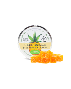 Plus - Plus Pineapple Express Gummies 100mg