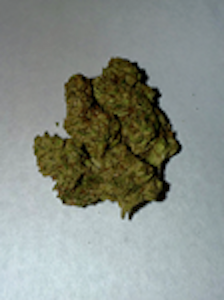 Truforia - TRUFORIA - Double Solo Burger Flower (1/8) - SATIVA