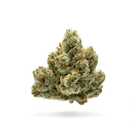 Northern Emeralds - Gorilla Glue