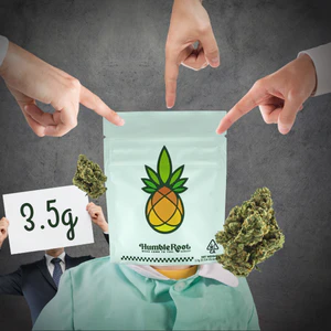 Humble Root - 3.5g Sweet Envy (Indoor Exotics) - Humble Root