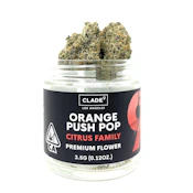 ORANGE PUSH POP - 1 Grams