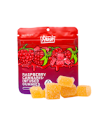 Raspberry Infused Vegan Gummies 100mg (Hush)