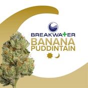 [REC] Flower | Breakwater | Banana Puddintain | 7g