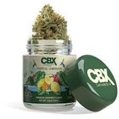 CBX - Flower - Tropical Lemonade - 3.5G