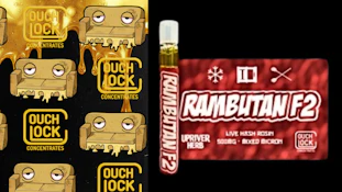 Couchlock - Rambutan F2 500mg AIO Vape