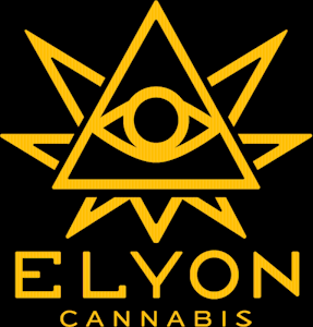 ELYON CANNABIS - Focus 1:1 THC:THCV Wellness Joints 2pk/1.5g