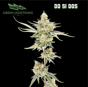 Green Lightning - [REC] Green Lightning | Do Si Dos | 1g Flower