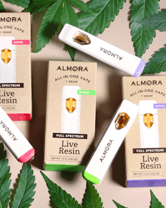 ALMORA FARMS - 1g AIO Live Resin Gelato - Almora Farms