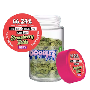 DOODLEZ - DOODLEZ Infused Flower/Strawberry Slushie/5g/(S)