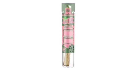 JOOST - Joost - Bacio x Cherry Gelato Infused Pre-Roll - 1g