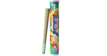 Traditional - Rainbow Runtz Pre-Roll - 1g