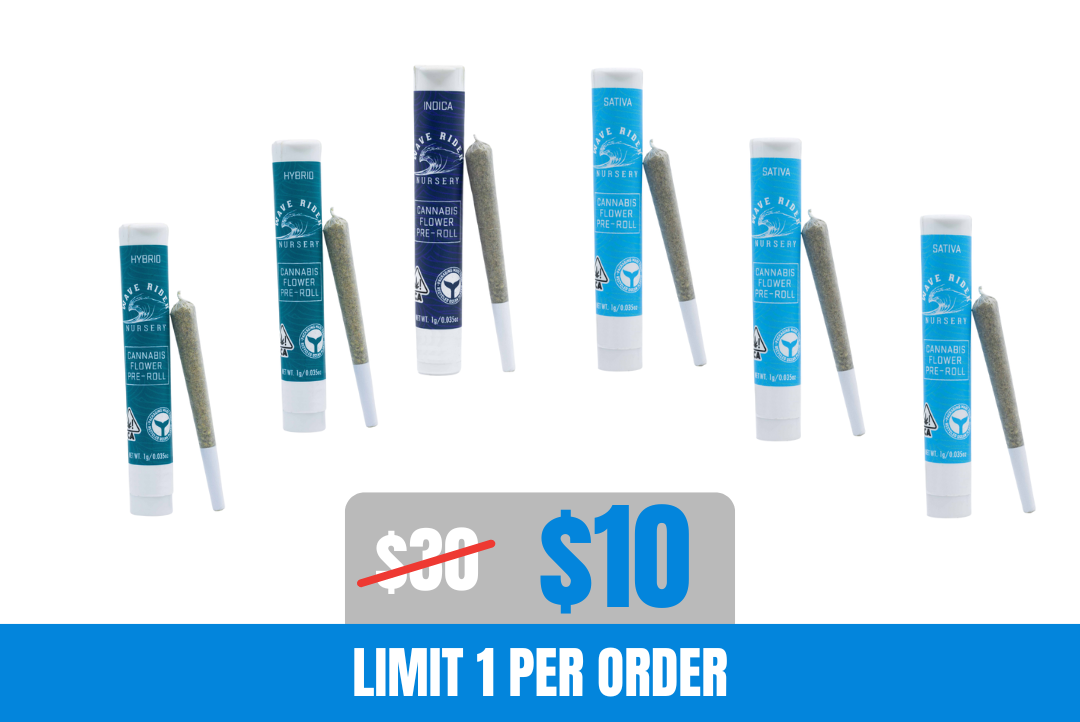 67% off 6g Wave Rider Pre-Roll Bundle picture