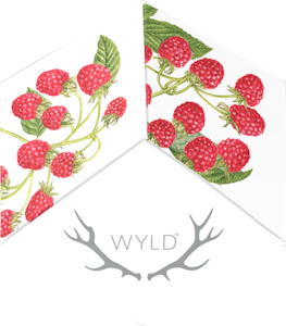 WYLD - Wyld-Raspberry THC 100mg-Sativa Enhanced