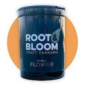 (P) Root & Bloom | Cheetah Piss (H) - Flower 3.5g