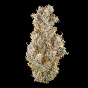 FIG FARMS - Krypto Nectarines - 7g (H) - Fig Farms