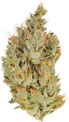 Super Lemon Haze 3.5g Jar - CBX