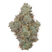 3.5g Animal Runtz - Flower - Fig Farms