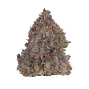 Lemon Cherry Face - 3.5g (H) - Fig Farms