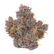 3.5g Sour Cherry Pie - Flower - Fig Farms