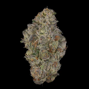 FIG FARMS - Koala Crack - 3.5g (SH) - Fig Farms