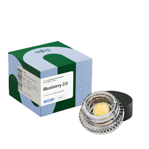 MFNY - Blueberry 2.0 - Live Resin Badder - 1g