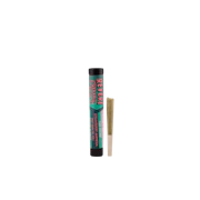 REVERT | Strawberry Amnesia | Pre-Roll | .5g
