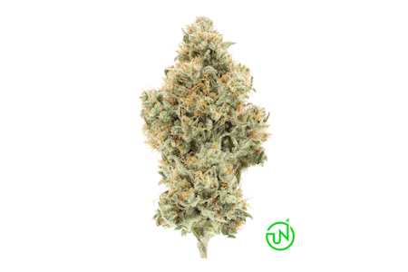 UpNorth - NF1 - 3.5g (SH) - Upnorth