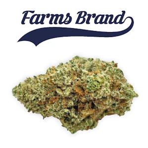 Farms Brand - Lemon Pound Cake 3.5g Jar - Farms Brand