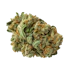 Product Preview Image 2