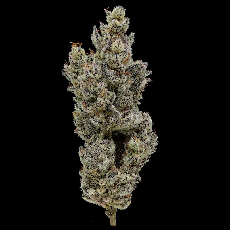 Fig Farms - Holy Moly! - 3.5g (SH) - Fig Farms Main Image