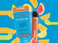[Dr. Norms] AIO - .5G - Feelwell Citrus Breeze Pain Relief (S)