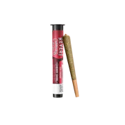 REVERT | Cherry Swirl | Pre-Roll | .5g