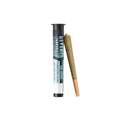 Forbidden Kush - .5g Preroll