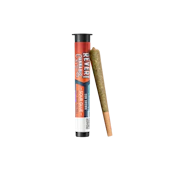 Sour Glue - 0.5g Preroll