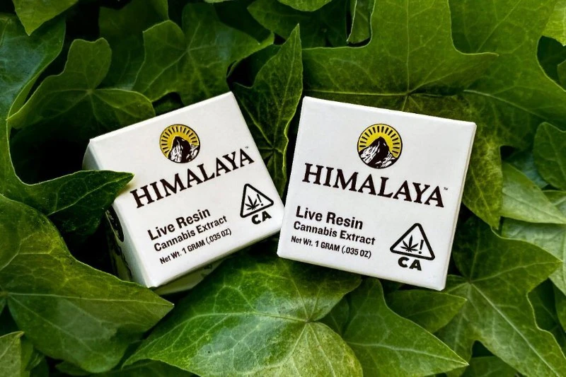 HIMALAYA - HIMALAYA Jet Fuel Terp Sugar Concentrate 1g Main Image