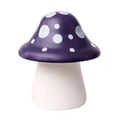 PURPLE MUSHROOM MATCH STRIKER - BIG FUN