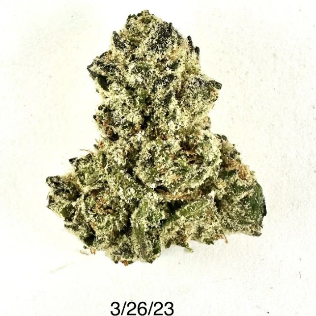 PROHIBITION 37 - P37 - Bluntz  Main Image