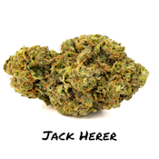 14g Jack Herer 22% - Norcal Flower
