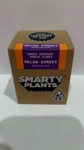 Smarty Plants - Melon Sorbet 3.5g Jar - Smarty Plants 