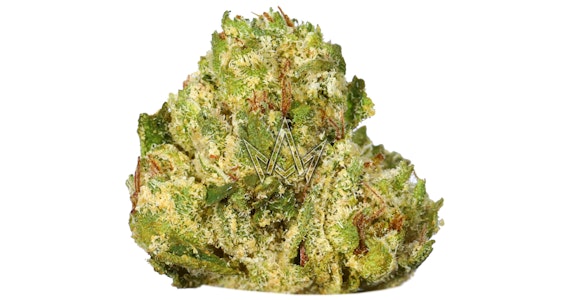 lolo - Lolo - High Society Indoor Smalls - 3.5g