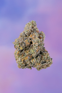 COOKIES - Gary Payton 3.5g Bag - Cookies