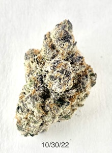 PROHIBITION 37 - P37 - Runtz