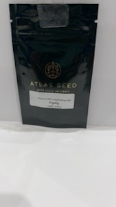 Atlas Seeds - Fog Dog 5pk Seeds - Atlas Seeds