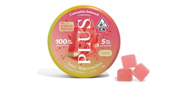 Plus - Sour Watermelon Uplift Solventless Rosin Gummies - 100mg