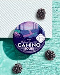 Kiva Camino Sours Sleep Gummies Blackberry Dream 1:1:1 THC:CBD:CBN