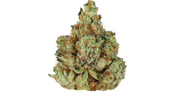 Jet Fuel - Jetfuel - Jet Fuel OG - 3.5g