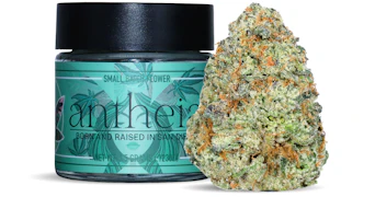 Antheia - The Big Lemon - 3.5g